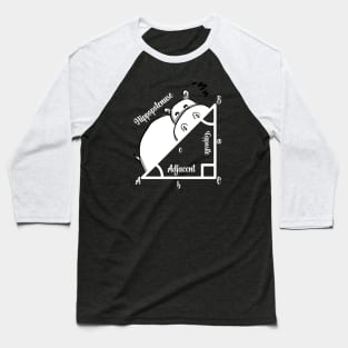 Math Teacher Baseball T-Shirt